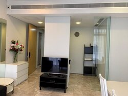The Laurels (D9), Condominium #456535581